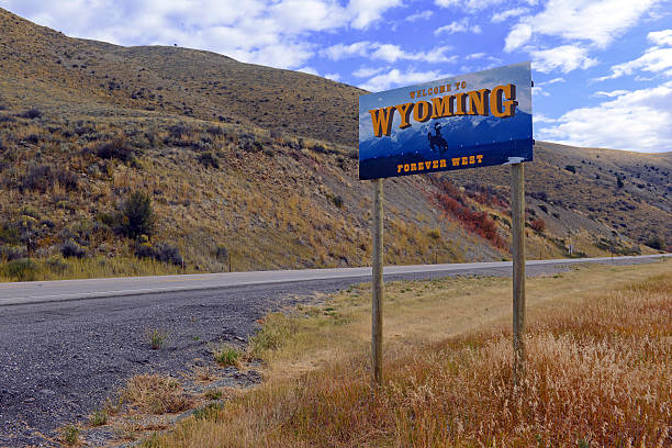 Annual Cost of LLC in Wyoming