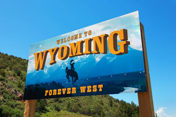 Benefits of Wyoming LLC