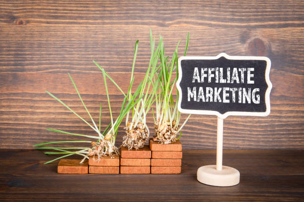 LLC for an Affiliate Marketing Business